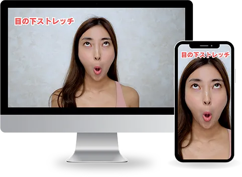 ビジュアル解説