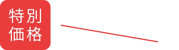 特別価格